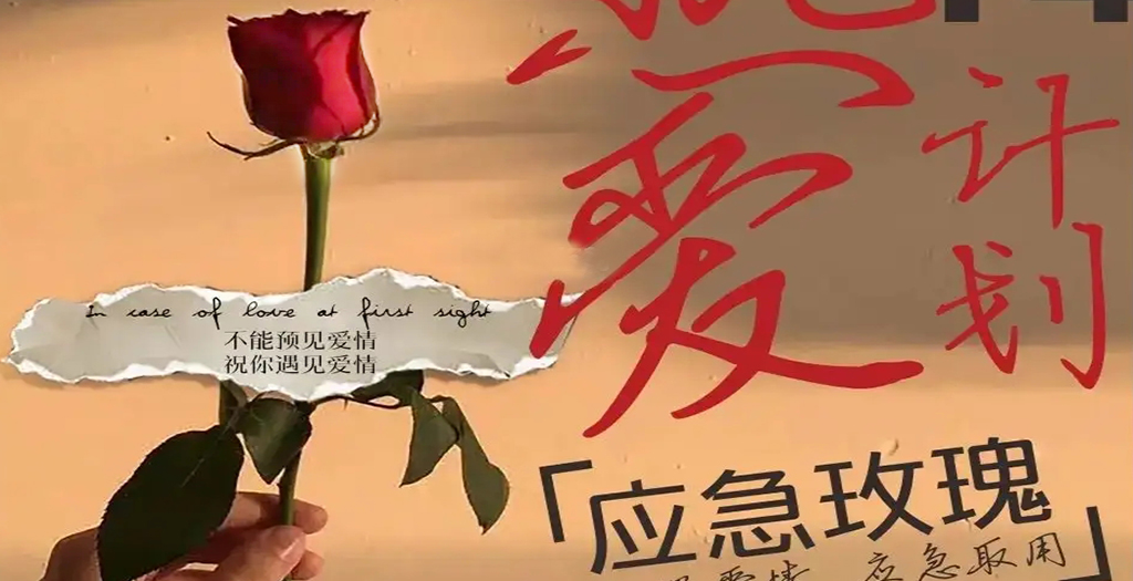 深圳商場-地產(chǎn)-情人節(jié)活動策劃方案圖2