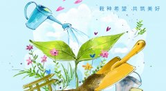 植樹節(jié)活動(dòng)策劃方案分享