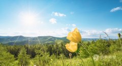 春季深圳地產(chǎn)暖場(chǎng)活動(dòng)策劃案分享