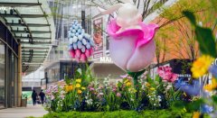 福利，活動(dòng)策劃公司春季活動(dòng)創(chuàng)意思路