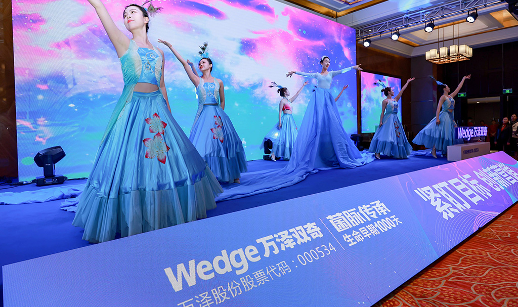 萬澤雙奇2023年度營銷大會12