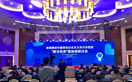 “數(shù)字政府”高級別研討會