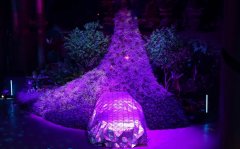 深圳活動(dòng)策劃看過來：這些發(fā)布會(huì)值得關(guān)注