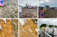 暴雨中舉辦的超級(jí)芒果音樂(lè)節(jié)