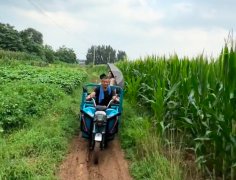 City不city？坐著三輪穿過玉米地參加音樂節(jié)