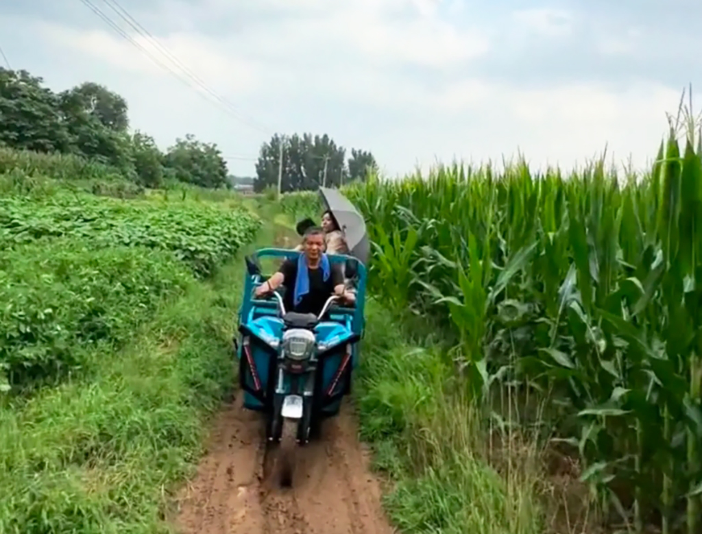 深圳活動策劃玉米地音樂節(jié)1