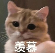 羨慕以前的活動圈！預算20w，加到100w