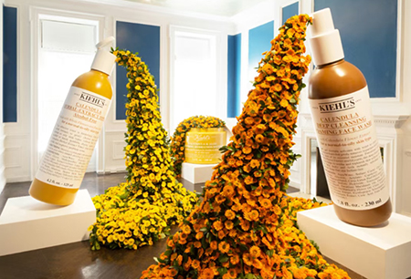 知名活動(dòng)策劃人大衛(wèi)·斯塔克創(chuàng)作秘訣