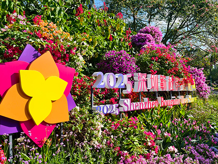 蓮花山花展如何“撐起”那一片藝術(shù)天空？