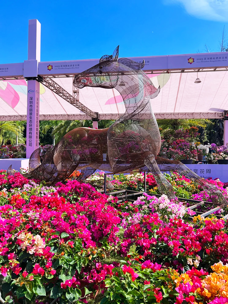 蓮花山花展如何“撐起”那一片藝術天空？