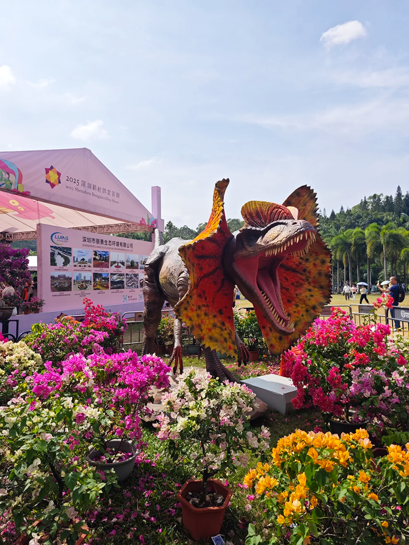 蓮花山花展如何“撐起”那一片藝術天空？